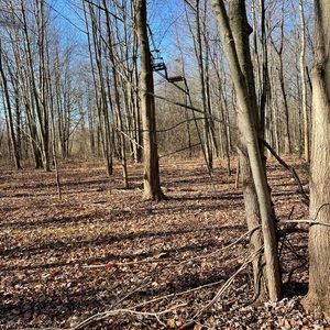 Meet your Posher, Mohamad